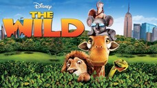 Watch Movie : The wild 2006 Trailer : link in the  description: