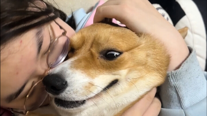 My dog was petted all night by my aunt, who’s about to go back to school.