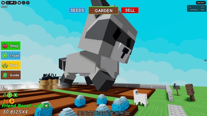 Akhirnya Dapat Mutasi Mega Untuk Raccon KesayanganKuuu