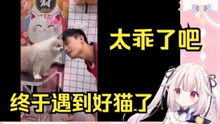 日本萝莉看《会绝活的梦中情猫》感叹终于遇到好猫了