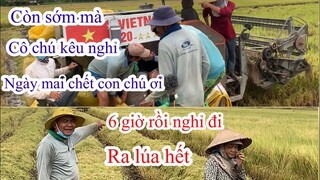 Máy Cắt Mới Lên Cắt Được Mấy Lam I Chủ Nhà Kêu 6 Giờ Chiều Rồi I Nghĩ Đi Mai Cắt Tiếp