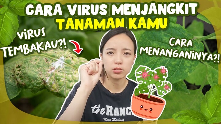 Apa itu Virus TMV pada Tanaman? Yang Perlu Kamu Ketahui tentang Virus Tanaman!
