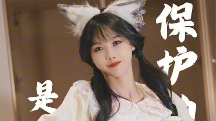 What’s the logic behind animal protection?