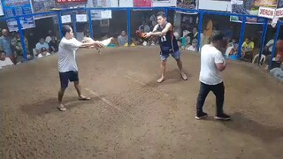 grabe, siyam ang buhay, patay na, nabubuhay pa.