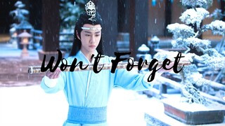 The Untamed- Lan Wangji & Wei Wuxian- Won't Forget (FMV)