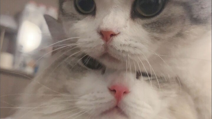 Sehari Bersama Kakak Beradik Berusia 8 dan 4 Tahun yang Kurang Energi dan Tak Disiplin | Vlog