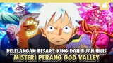 Ternyata King dan Buah Ilbis Uo Uo nomi Dijual? Mister Di balik Perang besar God Valley One Piece