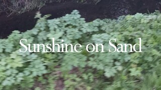 Sunshine on Sand