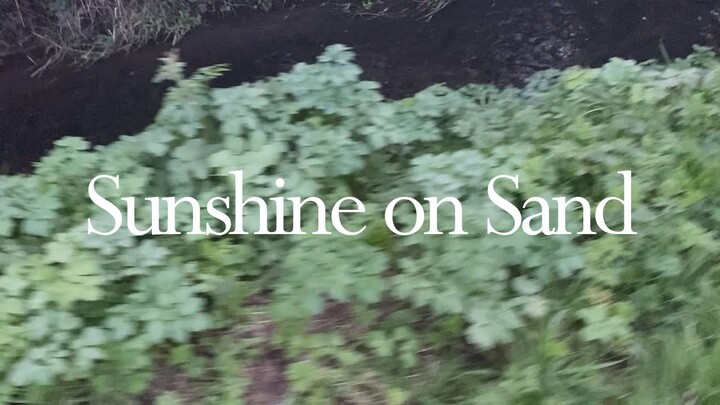 Sunshine on Sand