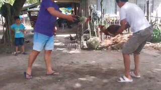 batchoy grey vs raptor sweater