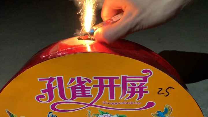 Burung merak yang melebarkan ekornya?