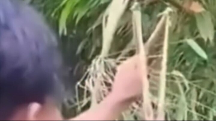 Unexpected Funny Moments 3