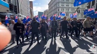 新西兰的毛利人站起来反对巴勒斯坦圣战分子！