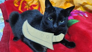 تشين تشي تعليمي يي جي