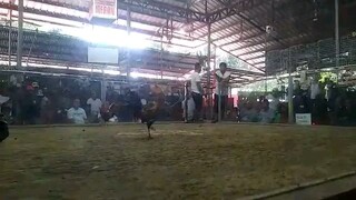 hack fight 11months win vs 4yrs