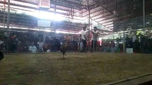 hack fight 11months win vs 4yrs