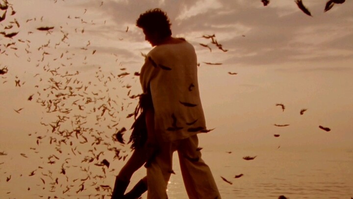 "A shattered dream."