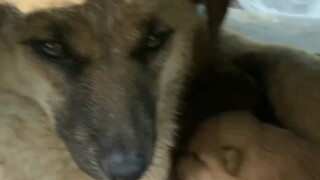 Nah, sekarang jadilah lima mulut lagi!