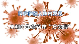 太疯狂，科学家在人体内发现未知生命实体，可能是类病毒