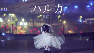 【Ring】ハルカ（遥）-Yoasobi