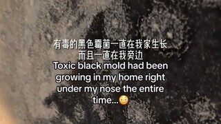 Haima International Media | Overseas bloggers urge people not to ignore the dangers of mold!