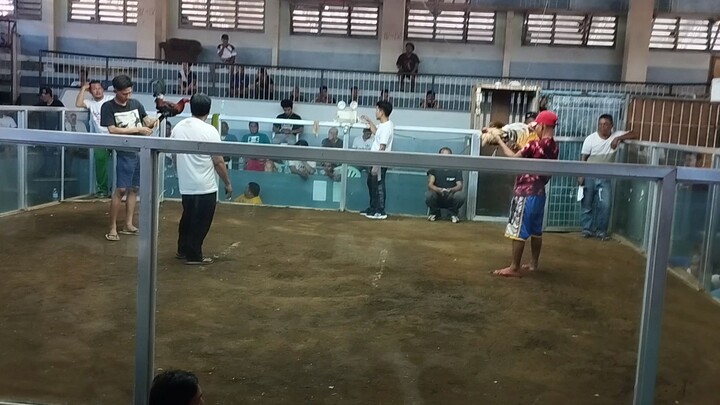 3 HITS ULUTAN 2nd Fight #WIN