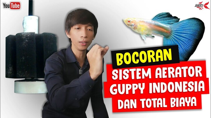 SISTEM AERATOR DAN TOTAL BIAYA DI GALLERY GUPPY INDONESIA KOTA SALATIGA