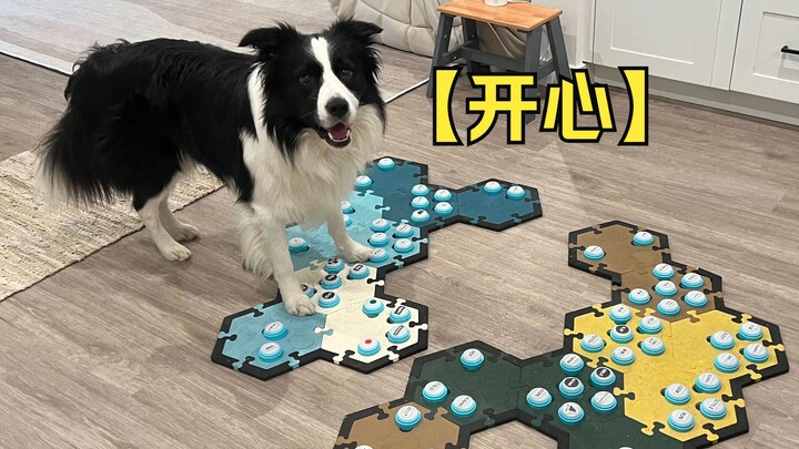 ปุ่ม【แฮปปี้】ของน้องหมา กลับถูกสอนโดยเพื่อนสมัยเด็กซะงั้น!