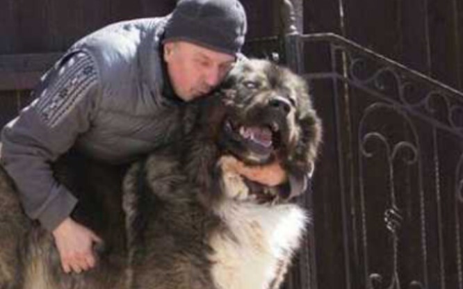 Những thứ người và chó không thể sinh ra