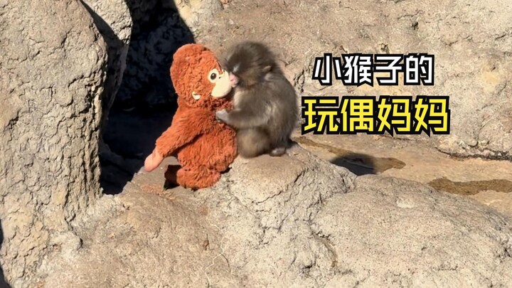 Those heartwarming animal videos!