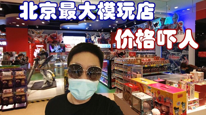 到北京最大模玩店打卡，想剁手却被价格劝退-刘哥模玩