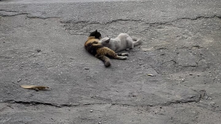 อยู่ไหนว่ะ