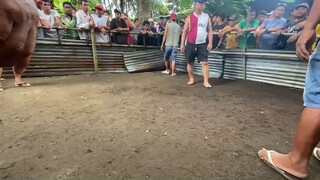 magandang laban mga ka alvars, basaan at bigayan talaga Win