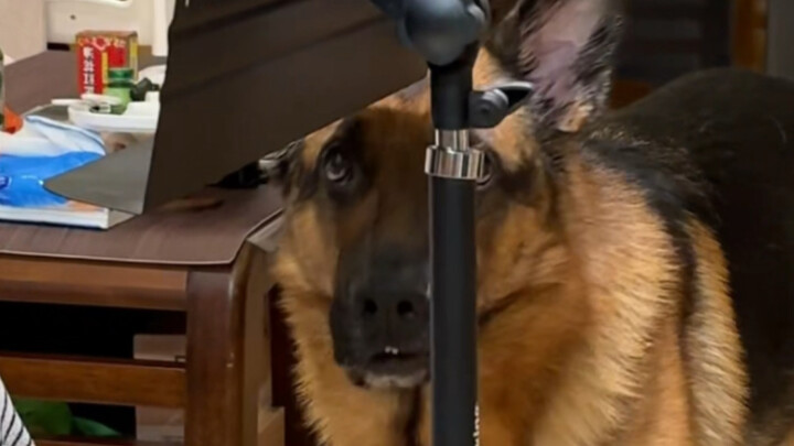 أنت لا تعرف أبداً ما الذي يفعله معلمك بجانبه أثناء إعطاء الدرس عبر الإنترنت