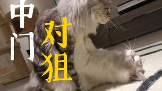 我两儿子中门对狙了……