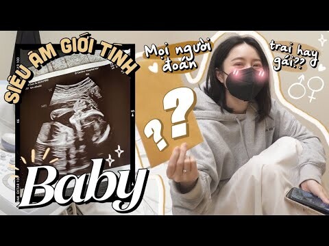 Vlog#108 ĐI SIÊU ÂM GIỚI TÍNH BABY - 20 WEEKS PREGNANCY UPDATE [Cuộc sống ở Mỹ của Gà Tây Tây]