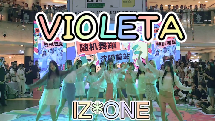 【IZ*ONE】Tarian ulang Violeta yang sangat indah dan kompak dari dua belas anggota