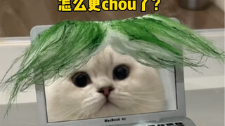 How can it be so funny and so cute!