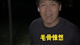 强烈推荐夜跑的人一定要听的歌单