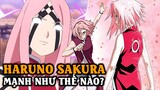 Tất Tần Tật Về Haruno Sakura - Thiếu Nữ Lực Điền Của Đội 7 | Nguồn Gốc & Sức Mạnh