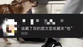 “Sobat-sobat manis, jangan terlalu berlebihan dalam menyimpan favorit, aku bisa lihat lho~”