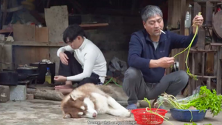 Bố Tôi Làm Món Bún Cá Đãi Tôi Và Những Người Bạn I Ẩm Thực Đồng Quê