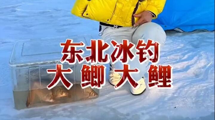 Ice fishing in Northeast China isn’t that cold—just watch…