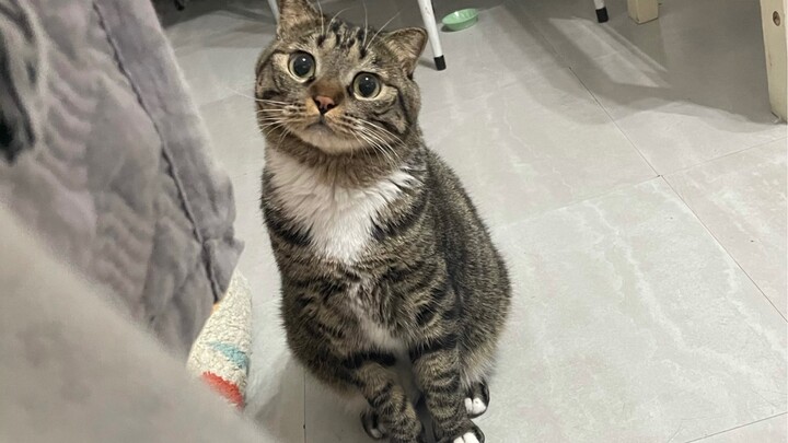 ตอนฟันผุของ “เสี่ยวjuanคือลูกอม หวานจนเศร้า”