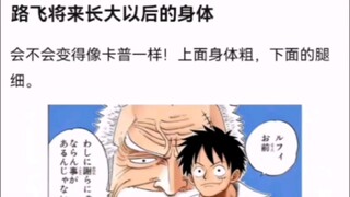 路飞将来长大以后的身体【海贼王!】