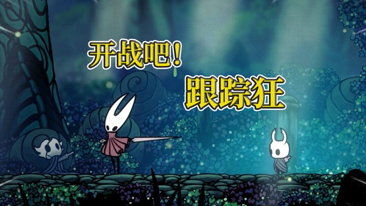 [Hollow Knight] The guide sister actually drew her sword on me—what on earth did I do wrong?