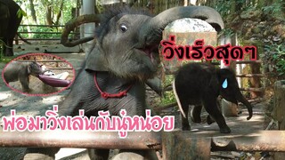 ไปโดนตัวไหนมาลูก......555🤣😂🤭😇