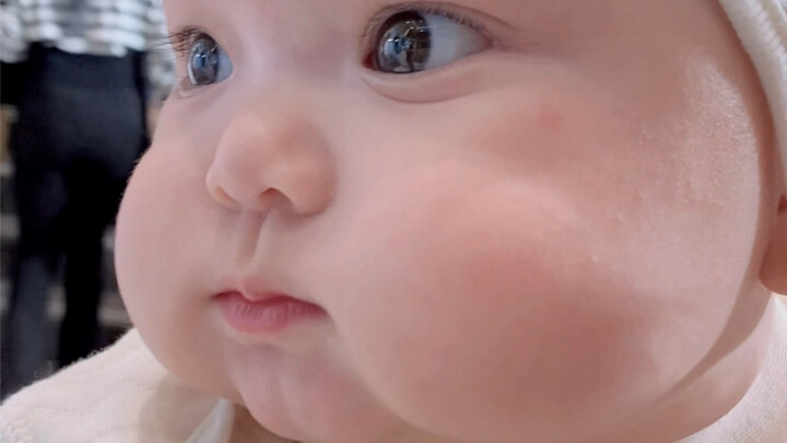 Cái cây mọng nước này dễ vuốt quá đi thôi~
