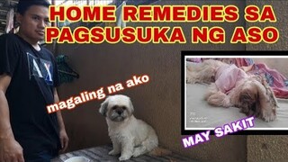 GAMOT SA ASONG MATAMLAY WALANG GANA KUMAIN | MAYSAKIT NA ASO AT NAGSUSUKANG ASO