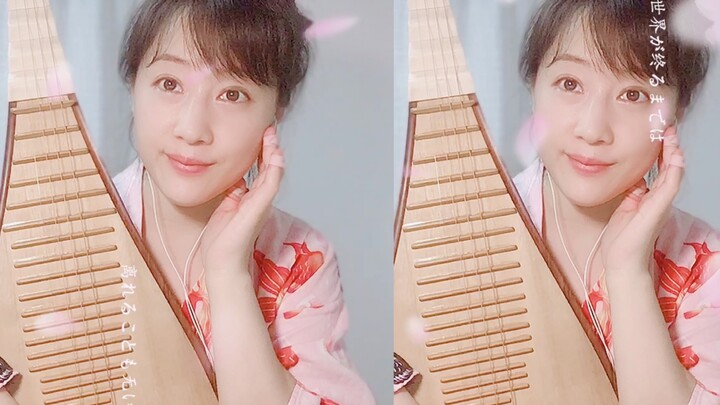 【Đàn tỳ bà】Mùa xuân phương Bắc – Phong vị Nhật Bản, hàng bạch dương thanh tao, bầu trời xanh thẳm mê